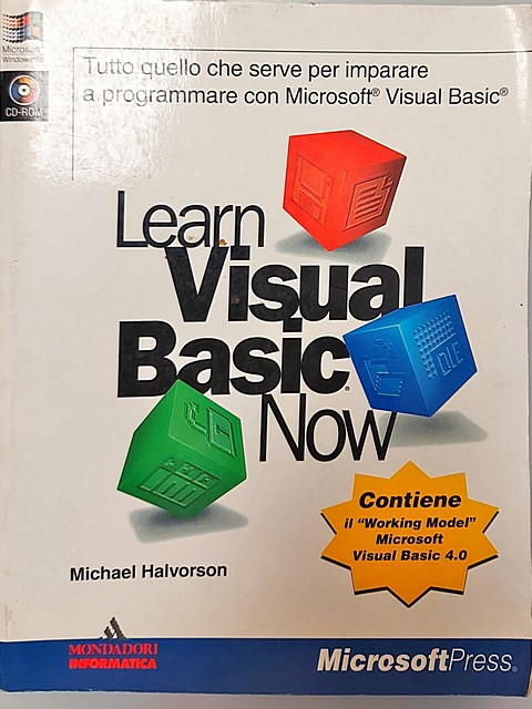 Learn Visual Basic Now